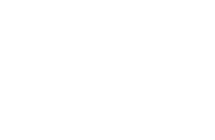 Bull-Logo-only