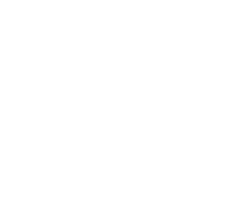 clearview-gates-logo-large-white